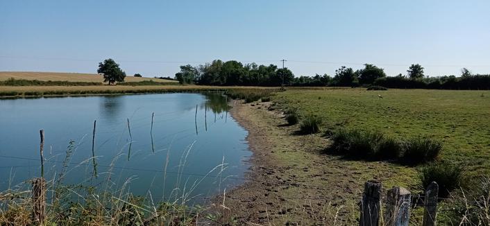 Un petit point d'eau. Se cachent sur cette photo, sur la droite, des oies bernaches et une cigogne