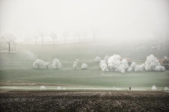 Eine neblige Winterlandschaft mit sanften Hügeln. Im Vordergrund ist ein braunes, gepflügtes Feld zu sehen, dahinter grünliche Wiesen mit vereinzelt stehenden Bäumen, deren Äste von Reif überzogen sind. Im Mittelgrund rechts stehen zwei Häuser, umgeben von weiß bereiften Bäumen. Eine einzelne Person steht im unteren Bereich des Bildes und blickt in die weite, stille Szenerie. Der Nebel verleiht der Aufnahme eine ruhige, fast mystische Atmosphäre.