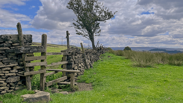 Wooden step stile over a dry-stone wall with a lone tree, grassy pasture, and distant hills under a cloudy sky.