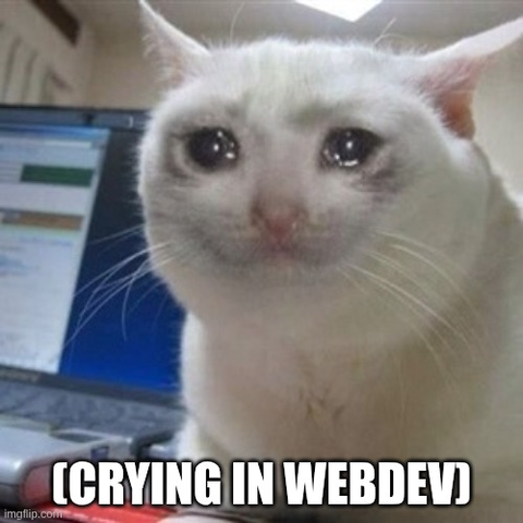 Meme template cat photoshopped to be crying, with a "(crying in webdev)" caption