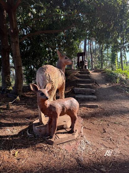 Esta imagen muestra una escena al aire libre en un entorno boscoso con árboles altos y frondosos. En primer plano, hay dos esculturas de madera que representan a un venado adulto y una cría. Están talladas con detalle, con textura que imita el pelaje del animal. El venado adulto está mirando hacia la derecha, mientras que la cría está ligeramente girada hacia el frente. Las esculturas están colocadas sobre una base de madera directamente sobre el suelo cubierto de hojas secas y tierra.

En el fondo, detrás de los venados, hay una pequeña escalinata de piedra que lleva a un banco de madera en la cima de una pequeña loma. La luz del sol atraviesa las ramas, iluminando parcialmente la escena y creando sombras suaves sobre el suelo. Todo el ambiente transmite una sensación de tranquilidad en medio de la naturaleza.