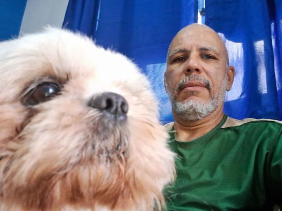 Fotografia d o rosto de um shitsu branco no primeiro plano e ao lado dele, um pouco atrás, um homem pardo de barba e camiseta verde. Ao fundo uma cortina azul.