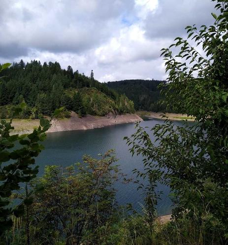 Am Mauthaus-Stausee bei Nordhalben: der sehr niedrige Wasserstand legt bis zu fünfzehn Meter Schotter-Ufer frei, darüber aber im Saft stehende Bäume, am Himmel wilde Wolken.