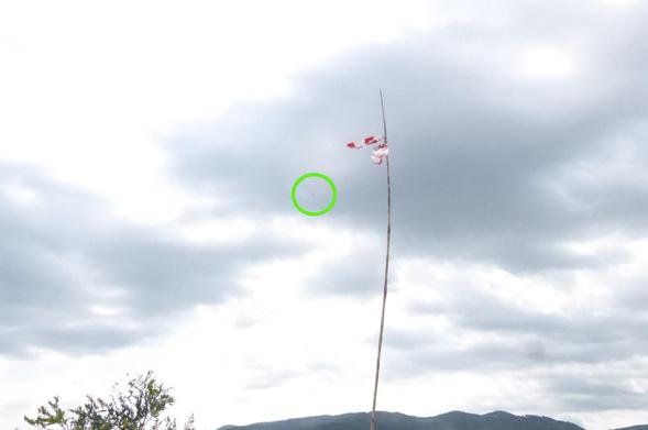 Aliga Cuabarrada volant a Gelida, Penedés