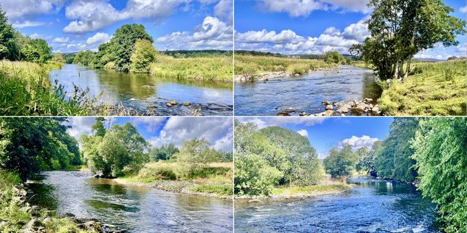 Four photo collage. Warm, summers day. Deep blue skies, white fluffy clouds. All four photos show blue river flowing, some grey rocks, varying tones of green broadleaf trees and green grass by the riverside.