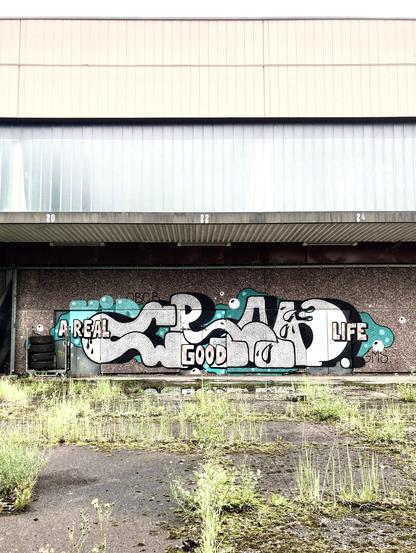 Warehouse front with a big old school graffiti on it. In the foreground, nature reclaimed the space.
