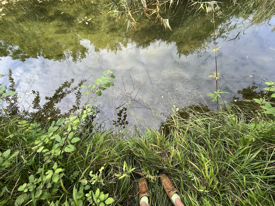 Small but very clear water. Not the Danube