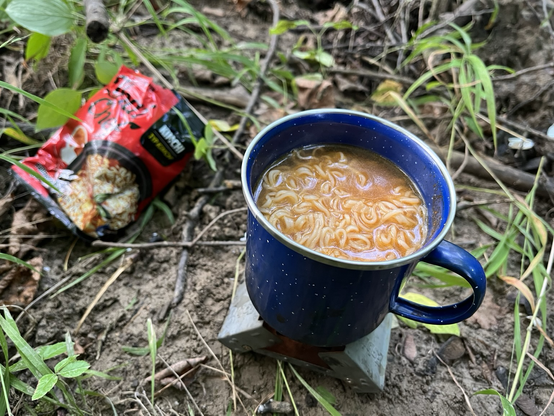 Cup of noodles