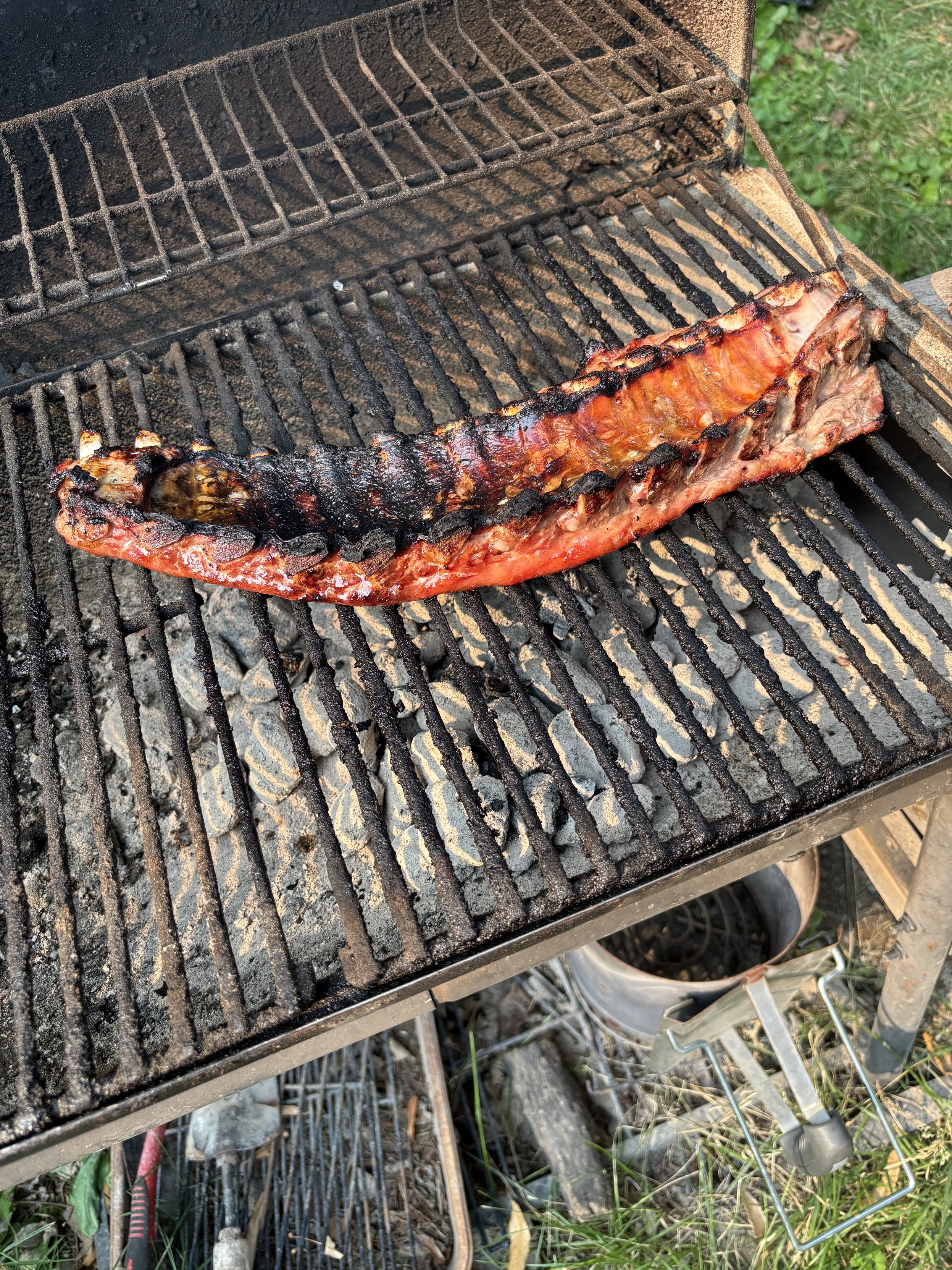 pig ribs on a grill