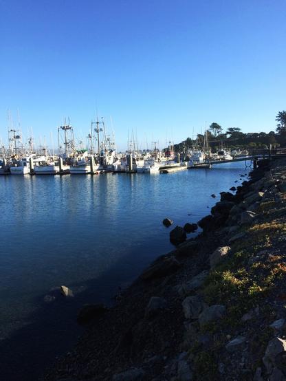A rocky shoreline curves around to the right of a body of water that both lead to various boats at a dock. A slight hill can be seen above and to the right of the dock. A clear blue sky occupies the top third of the photo.