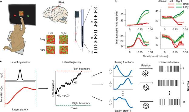 Figure 2: Task, recordings, and generative modeling approach. a) Monkeys performed a color-discrimination task while PMd activity was recorded using multi-electrode arrays. b) Neurons exhibited diverse trial-averaged firing patterns modulated by choice and stimulus difficulty. c) A generative model inferred single-trial latent trajectories x(t), potential functions Φ(x), and tuning curves f_i(x), linking latent dynamics to observed spikes via Poisson processes. Source: nature.comꜛ (license: CC BY 4.0)