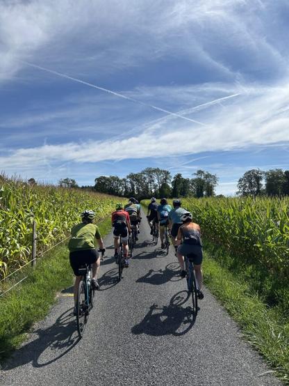 Cycling Between Two Corn Fields