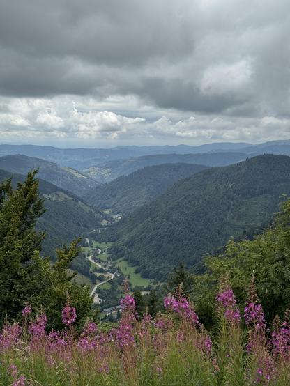 Im Vordergrund pinke Blumen, dahinter ein tiefes grünes Tal, links und rechts dunkelgrüne Berge, weiße und dunkle Wolken