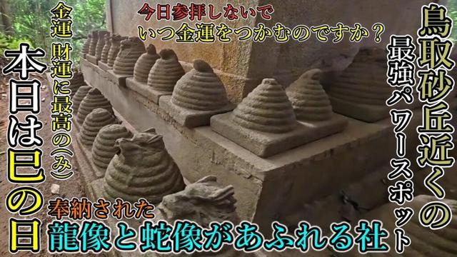 ※最強金運日 ⚠️巳(み)の日に蛇と龍であふれる神社を参拝しなくていつ参拝するのですか?【多言語解説動画】【鳥取県鳥取市 多鯰ヶ池弁天宮 (お種弁天)】