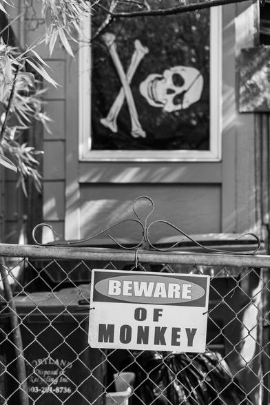 sign that says Beware of Monkey with pirate flag in the background