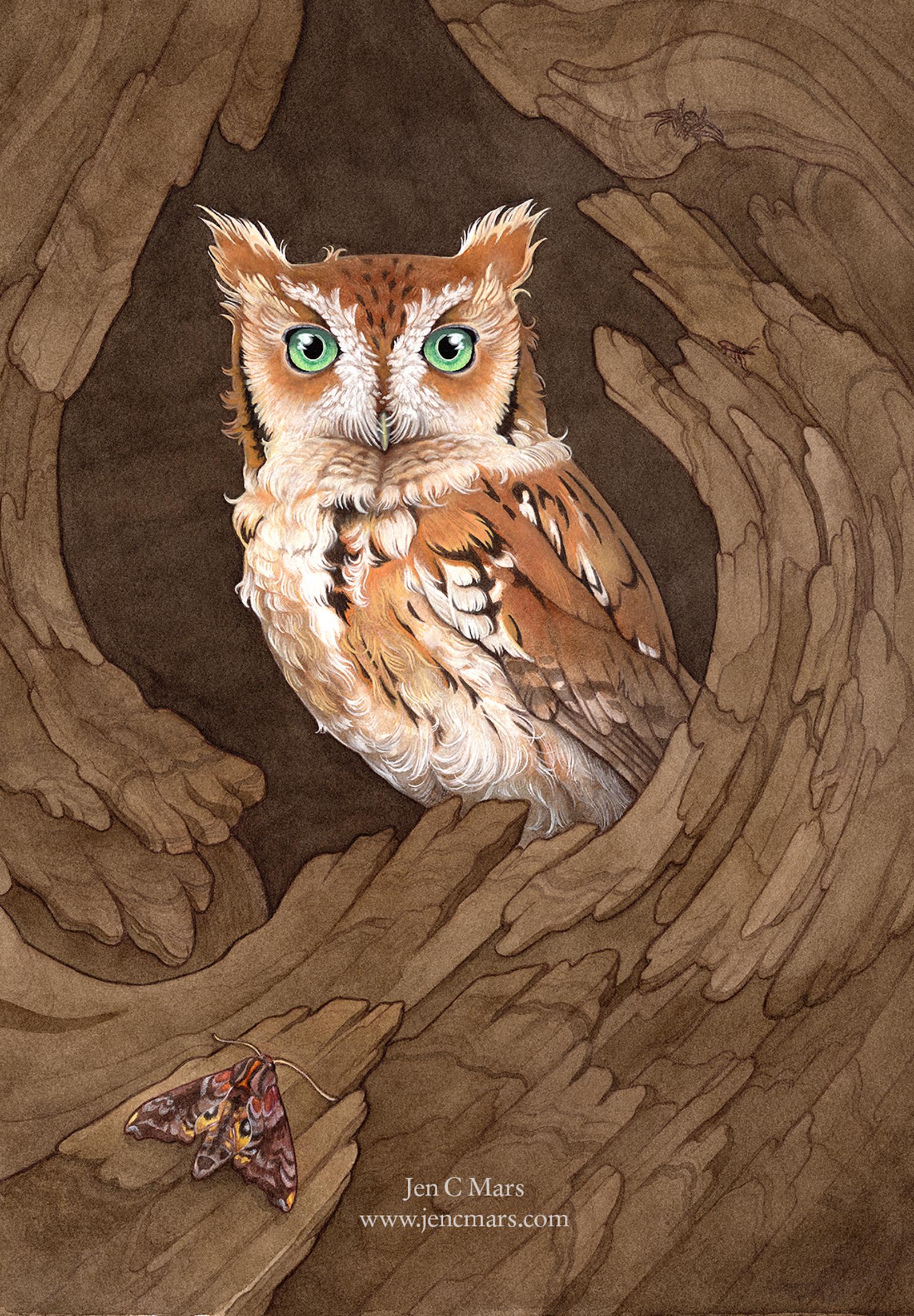 Painting of a red morph screech owl peering out of a tree cavity. The tree cavity is framed by swirling stylized bark, with a sphinx moth in the left foreground and a spider and beetle hidden in the upper right. The owl itself has orange-brown feathers with a white face and chest, and bright green eyes.