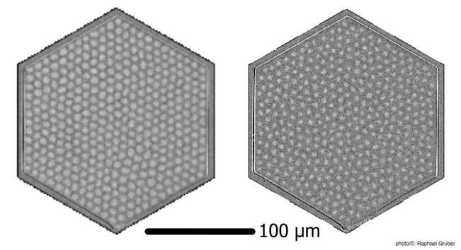 Snapshots of the skyrmion lattice during the melting: an ordered skyrmion lattice on the left while the lattice structure has vanished on the right. (photo/©: Raphael Gruber)