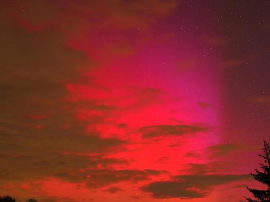 Rote und lila Polarlichter am Himmel. Auf der linken Seite sind ein paar Wolken erkennbar. Rechts unten im Eck sieht man einen Teil eines Nadelbaums.