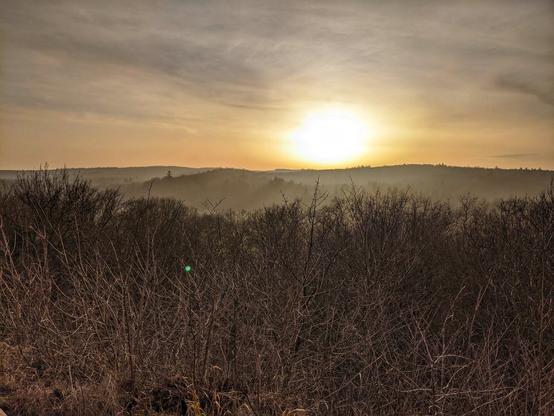 A photograph of a hazy sunset over a hilly, wooded landscape. The sun, a bright white orb, hangs low in a pale orange and grey sky. In the foreground, a dense thicket of bare, dark brown branches fills the bottom third of the frame. Beyond this, a series of gently rolling hills is visible, covered in a mix of trees and shrouded in a soft, atmospheric haze. The colours are muted and warm, giving the scene a peaceful, tranquil feel. A small, bright green lens flare is visible on the left side of the image, near the foreground branches.