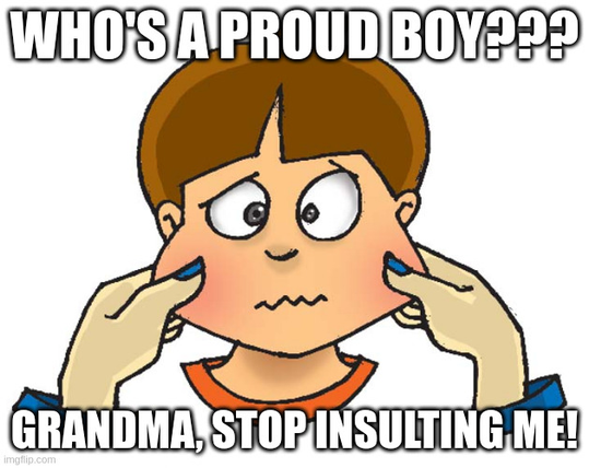 A child who doesn't look happy about being pinched in the cheeks by two hands.

Grandma: "Who's a proud boy???"
Grandchild: "Grandma, stop insulting me!"