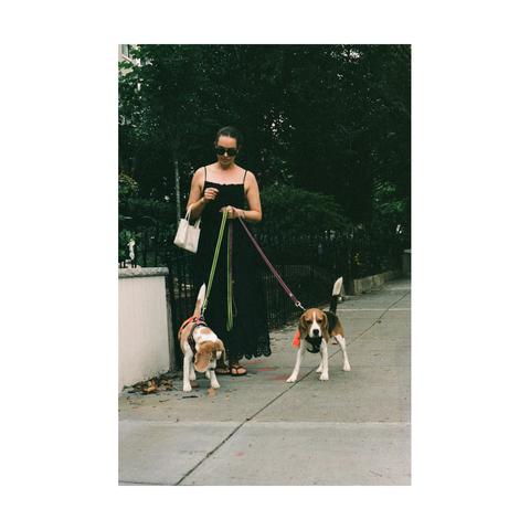 Photo of a woman walking her two dogs in DC. Shot on a Pentax Spotmatic using Portra 400 film.