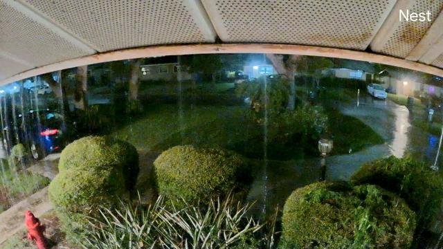A nighttime scene captured from a security camera shows a rain-soaked street and garden with neatly trimmed bushes and a glowing lamppost.