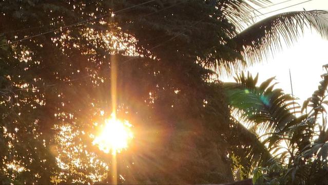 <p>MANILA, Philippines – The husband of a town mayor and a councilor died from suspected heat stroke during a mountain trail run in Davao del Norte on Sunday, August 3, as <a href="http://Both deaths are under investigation, police said. Event organizers have yet to issue a formal statement.">sweltering heat</a> and erratic weather patterns raised risks for outdoor activities.</p>



<p>Major Edurdo Corpuz, police chief of Santo Tomas town in Davao del Norte, identified one of the fatalities as Klent John Brua, 39, a resident of Barangay San Jose and husband of New Bataan, Davao de Oro Mayor Bianca Cualing-Brua. </p>



<p>The second fatality, according to several reports, was 33-year-old Eric Joseph Taping, a town councillor in Montevista, Davao de Oro.</p>


<div class="related-article ">
			<div class="related-article__container">
				<div class="related-article__text">
					<div class="related-article__eyebrow">Must Read</div>
					<div class="related-article__title">
						<a class="related-article__title-link" href="https://www.rappler.com/philippines/mindanao/cagayan-de-oro-heat-index-after-rain-july-26-2025/">
							<h1 class="related-article__title-text"> Cagayan de Oro swelters as heat index hits 42.4°C after days of rain </h1>
						</a>
					</div>
				</div>
				<div class="related-article__media-container">
					<div class="related-article__media">
						<a href="https://www.rappler.com/philippines/mindanao/cagayan-de-oro-heat-index-after-rain-july-26-2025/">
	