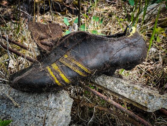 The image shows a close-up of what appears to be an old soccer shoe embedded into a piece of weathered wood or stone with vegetation growing around it. The shoe is dark-colored, possibly black, with yellow markings that resemble stripes on its side. It looks worn and is covered in dirt and small plant debris, suggesting it has been there for some time. Surrounding the shoe are elements typical of an outdoor environment: dried leaves, grasses, twigs, and rocks. The background features more natural scenery including green foliage, indicating this may be a forest or wooded area.