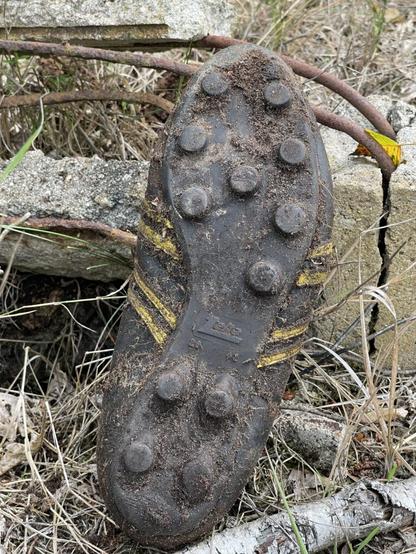 The image shows a close-up of an old soccer boot covered with mud and vegetation. The sole is marked with yellow lines indicating tread patterns designed to enhance grip during sports activities. It appears worn out, suggesting frequent use on rugged terrain. Surrounding the boot are natural elements like dried grasses, twigs, and parts of what looks like a rock barrier or wall in the background. There's no visible text that provides additional context about the location or purpose for which this boot was used. The brand logo "Zeha" can be read in the middle of the sole. Size seems to be 28 and 42