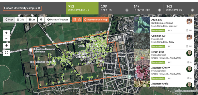 A screenshot from the iNaturalist website showing a map of the campus of Lincoln University in Canterbury, New Zealand. The points on the map are the observations of the Department of Conservation's environmental weeds of NZ. The campus has 952 observations of 109 species from this list.
https://inaturalist.nz/observations?place_id=67596&project_id=environmental-weeds-in-new-zealand&subview=map&verifiable=any