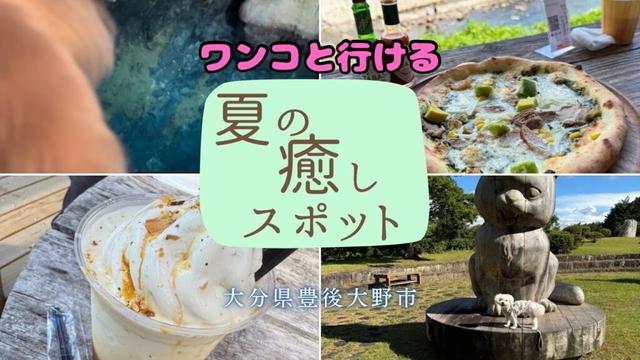 ワンコと行ける夏の癒しスポット　大分県豊後大野市