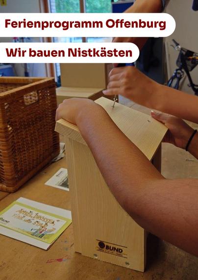 Bild mit der Überschrift "Ferienprogramm Offenburg - Wir bauen Niskästen". Man sieht zwei paar fleißige und flinke Hände, die ein Dach auf einem Nistkasten mittels Schrauben befestigen. Der Nistkasten ist aus Holz. Im Hintegrund sieht man ein Fenster sowie einen Werkstatttisch, einen Korb und ein paar Flyer. Hey - und ein Fahrrad steht da auch noch herum.