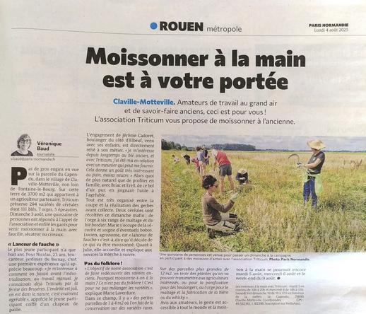 Photo de l'encadré du journal Rouen métropole - Paris Normandie du lundi 4 août 2025 - Moissonner à la main est à votre portée - Claville-Motteville 
Photo d'un champ de blé avec des gens qui moissonnent à la main. Je suis le petit bonhomme en foncé avec un chapeau de paille en haut à gauche un peu penché
