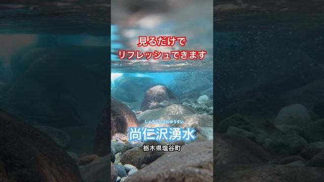 塩谷町の名水 尚仁沢湧水の自然でリフレッシュ