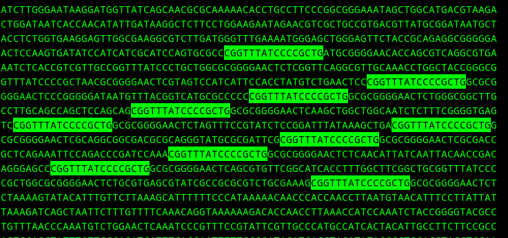 DNA with 10 highlighted segments, the CRISPR repetive element, with interspersed 'spacers' containing viral DNA.
