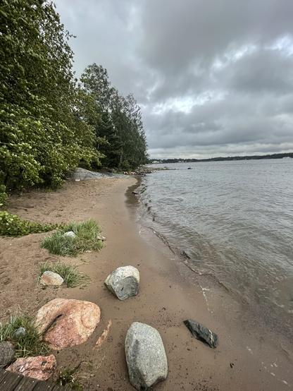 Hiekkaranta, kiviä, merta, tuulen painamia koivuja.