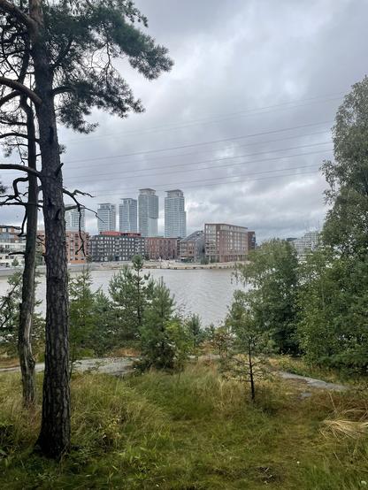Kalasataman tornitalot Mustikkamaan suunnasta.