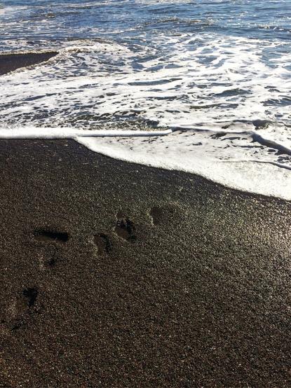 A photo of footprints in sand coming from the bottom left corner leading diagonally towards the opposite corner and meeting an incoming wave of white foamy ocean water