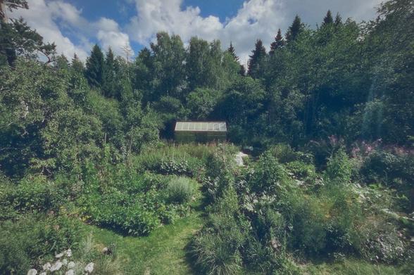 High angle photo looking down across a kitchen garden space. Several growing beds with various sizes of leafy green and climbing crops. At the back of the space a timber and polycarbonate greenhouse. At the edges green shrubs, bushes, and fruit and woodland trees. A horizon of taller forest spruce.
