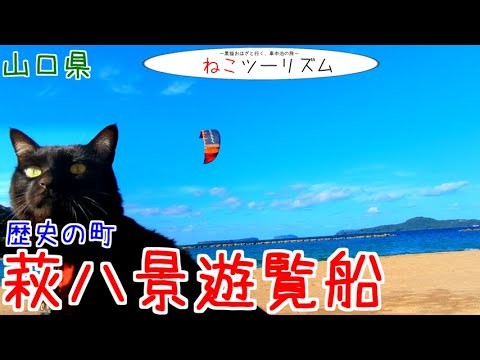 【猫と旅行】萩八景を船から眺むる※無言動画【山口県】