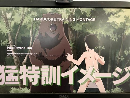 An image from the anime series Mob Psycho 100.

A young boy is preparing to wrestle a bear.

The text onscreen says “HARDCORE TRAINING MONTAGE”