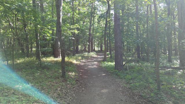 Wären der MIV über Sahneasphalt fahren darf müssen die Radfahrer durch den Wald. Der Matsch hielt sich in Grenzen. Straße explizit für Räder gesperrt.