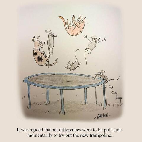 A cartoon illustration of a dog, cat, and mice all enjoying jumping on a trampoline outside. Caption reads "It was agreed that all differences were to be put aside momentarily to try out the new trampoline."