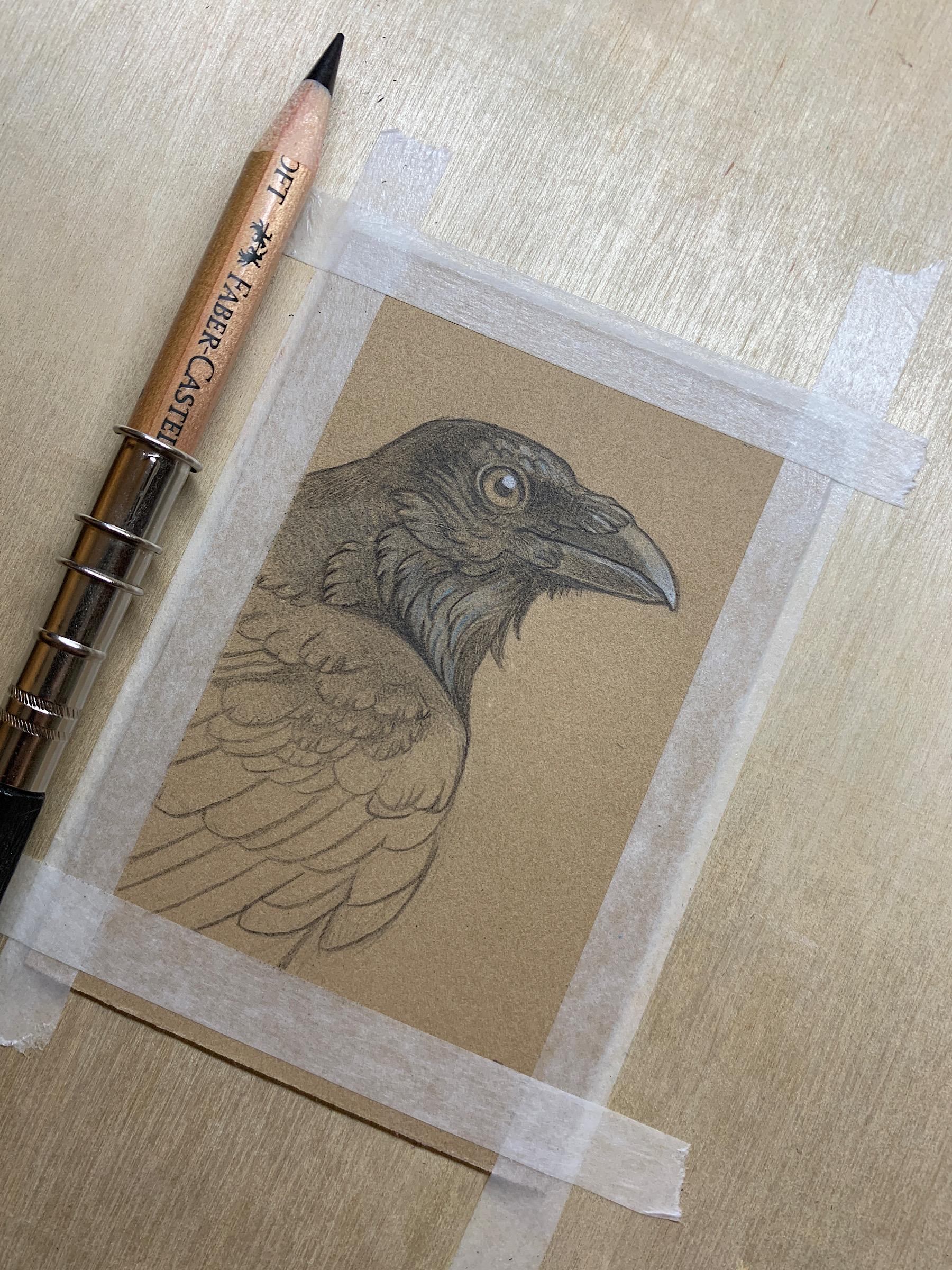 Photo of a small, unfinished drawing of a raven on brown paper. The paper is taped to a board and a black pencil in a pencil holder rests on the left side.