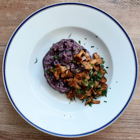 Das fertige violette Risotto mit Pfifferlingen auf dem Teller
