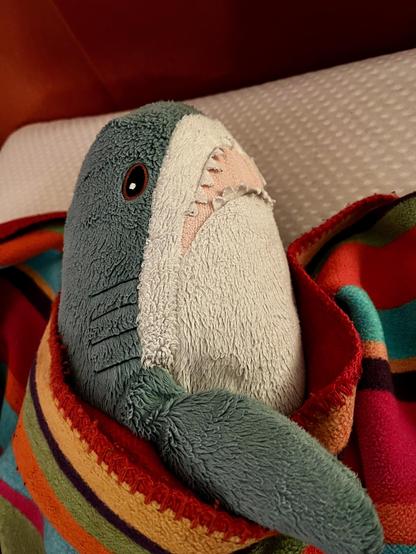English: A plush blåhaj wrapped in a colorful striped blanket, resting on a bed with a white textured pillow. 

Deutsch: Ein Plüsch-Blåhaj hat sich  in eine bunt gestreifte Decke eingewickelt und es sich auf einem weißen Kissen gemütlich gemacht.