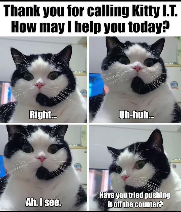 It's a four-panel meme with a caption. The panels each have a slightly different headshot photo of a really cute kitty cat who's mostly white except for its black ears and a striking and unique thin strip of black fur that starts at the kitty's left ear, circles the left side of its head then curls upward at its chin toward its mouth, ending in a small circle of fur right at its lower lip. The strip of black fur couldn't look more like a telephone headset if it tried lol. I mean, you can't miss it! That it looks like a telephone headset is the first thing most people would think of, IMO. Anyhoo, the first panel has the kitty quote talking on the phone un-quote and saying "Right..." The second says "Uh-huh..." and the next one says "Ah, I see." The last panel has the kitty saying "Have you tried pushing it off the counter?" under a caption that says "Thank you for calling Kitty I.T. How may I help you today?"