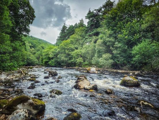A wide-angle shot of a fast-flowing river in a lush, green valley under a dramatic, cloudy sky. The river is filled with numerous moss-covered rocks and boulders, and the water is a mix of dark reflections and white rapids. The banks are lined with dense, vibrant green trees and foliage, with a steep hill of trees visible in the background.