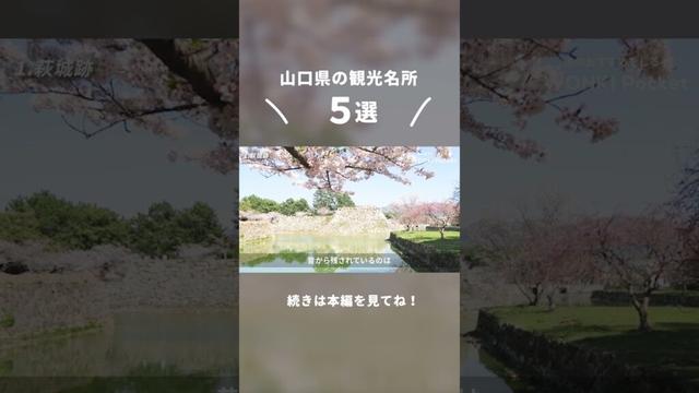 ＼山口県の観光名所５選／ 続きは本編で見てね！ #旅行 #絶景 #観光名所 #山口