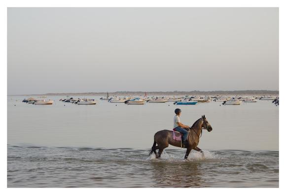 A jockey cools the horse down in the sea after the morning training session, in Sanlúcar de Barrameda (Spain).
---
Un jockey refresca al caballo en el mar tras el entrenamiento matinal, en Sanlúcar de Barrameda (Cádiz).